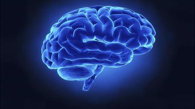 Beyniniz Hakkında Bilmediğiniz Yedi (Veya Daha Fazla) Şey 2018