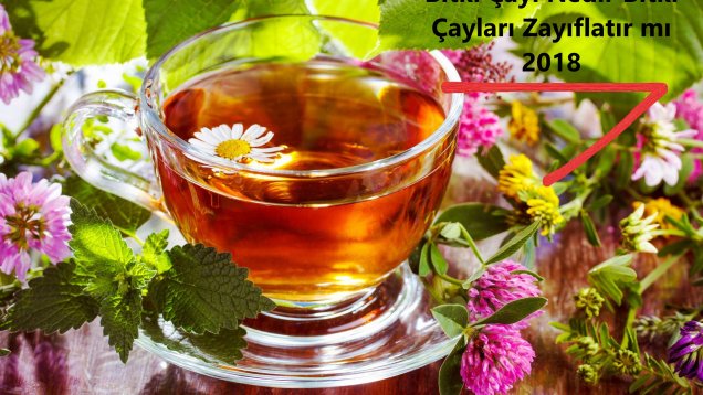 Bitki Çayı Nedir Bitki Çayları Zayıflatır mı 2018