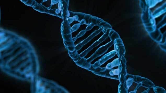 Genetik Hastalık Nedir Nasıl Tanımlanır 2018