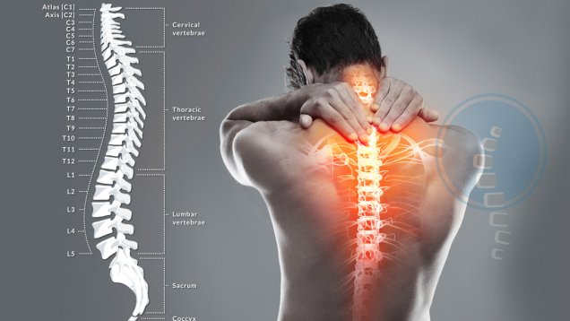 Omurilik Felci Nedenleri Tedavisi ve Sonucu 2018
