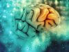 alzheimer hastalığı