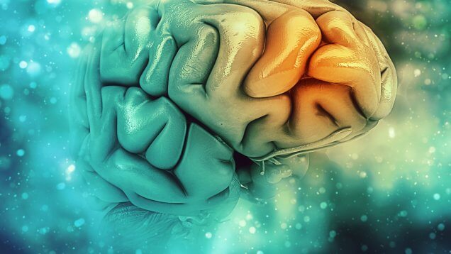 alzheimer hastalığı